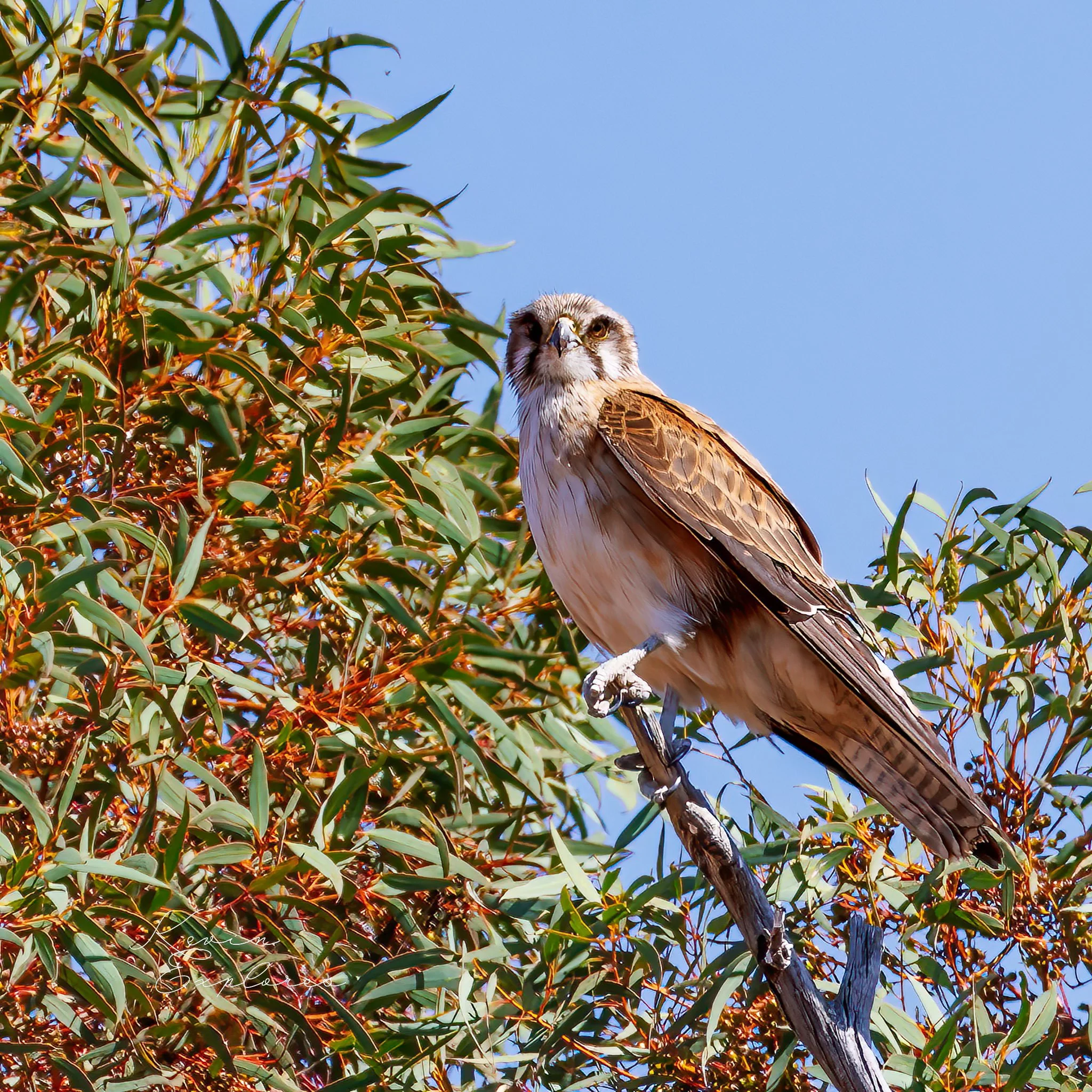 1J0A1514-Edit-2.jpg