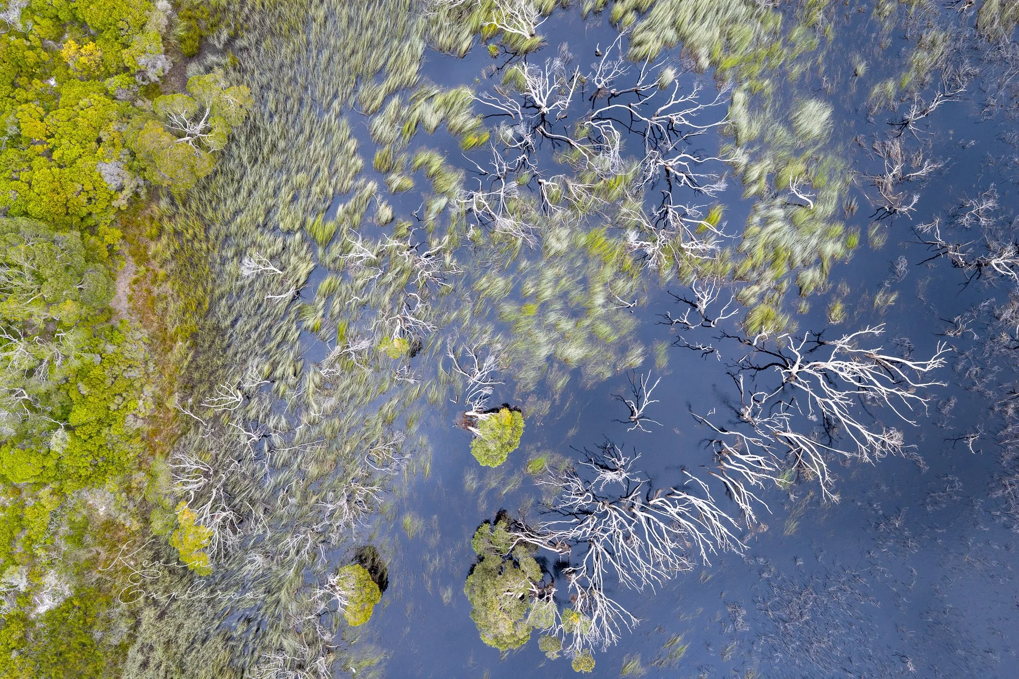 DJI_20250802071059_0057_D.jpg