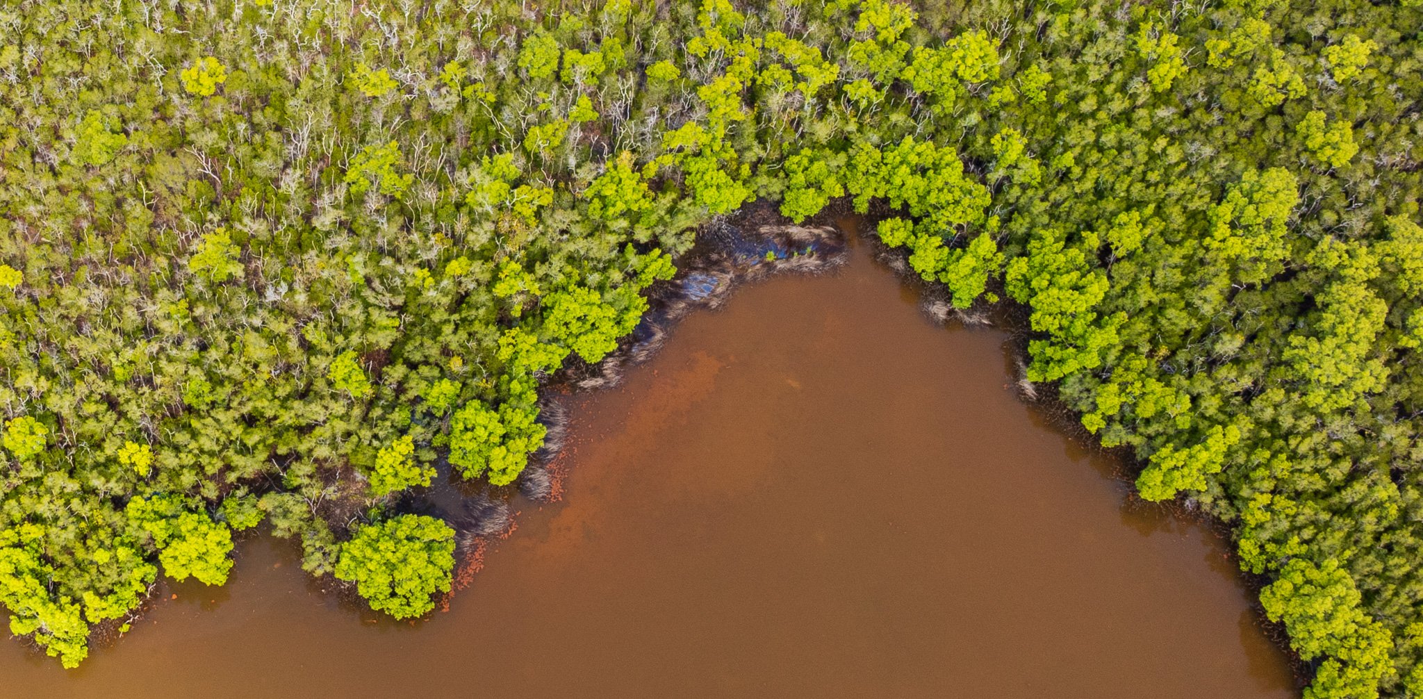 DJI_0888.jpg