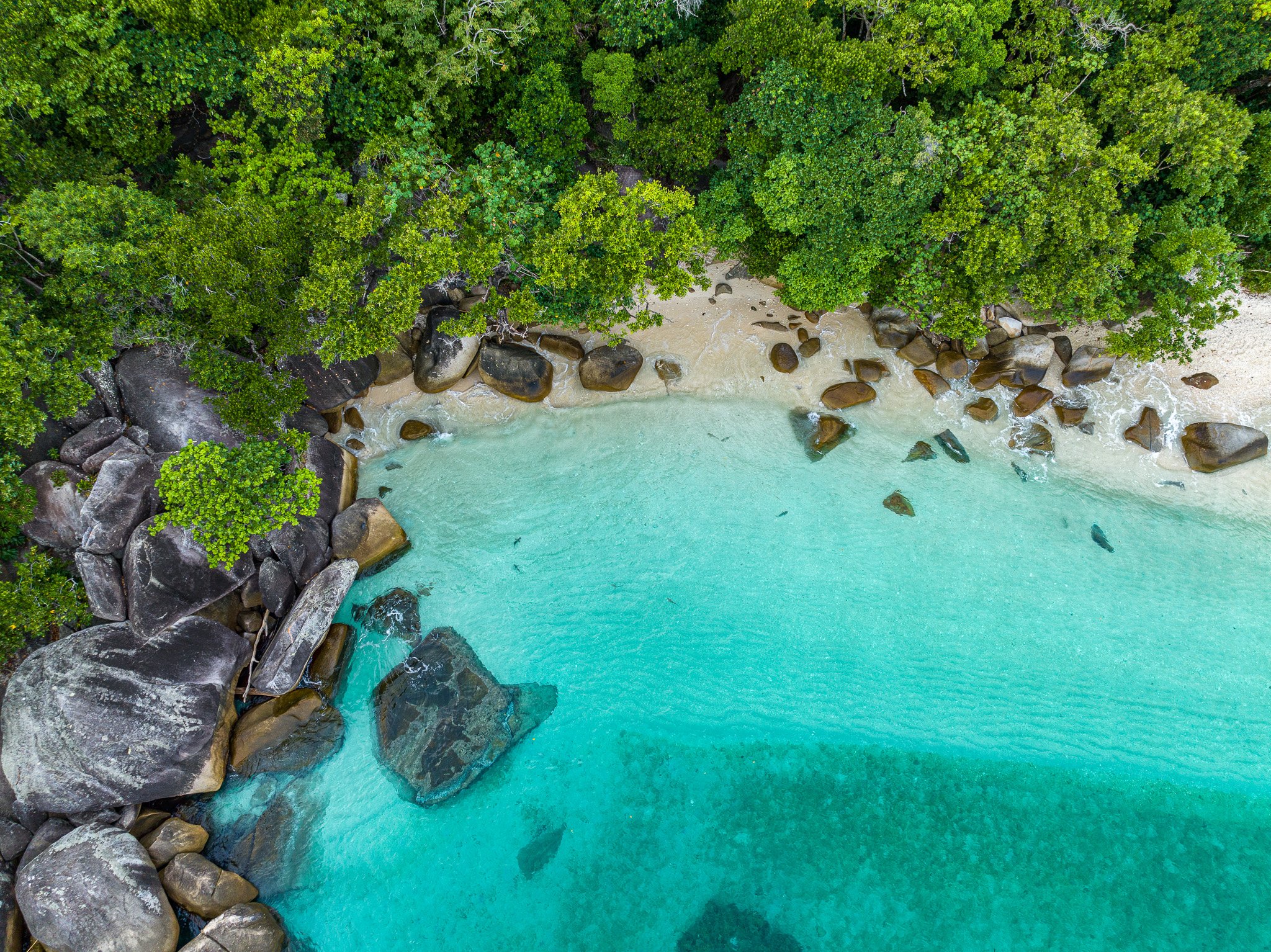DJI_0788-2.jpg