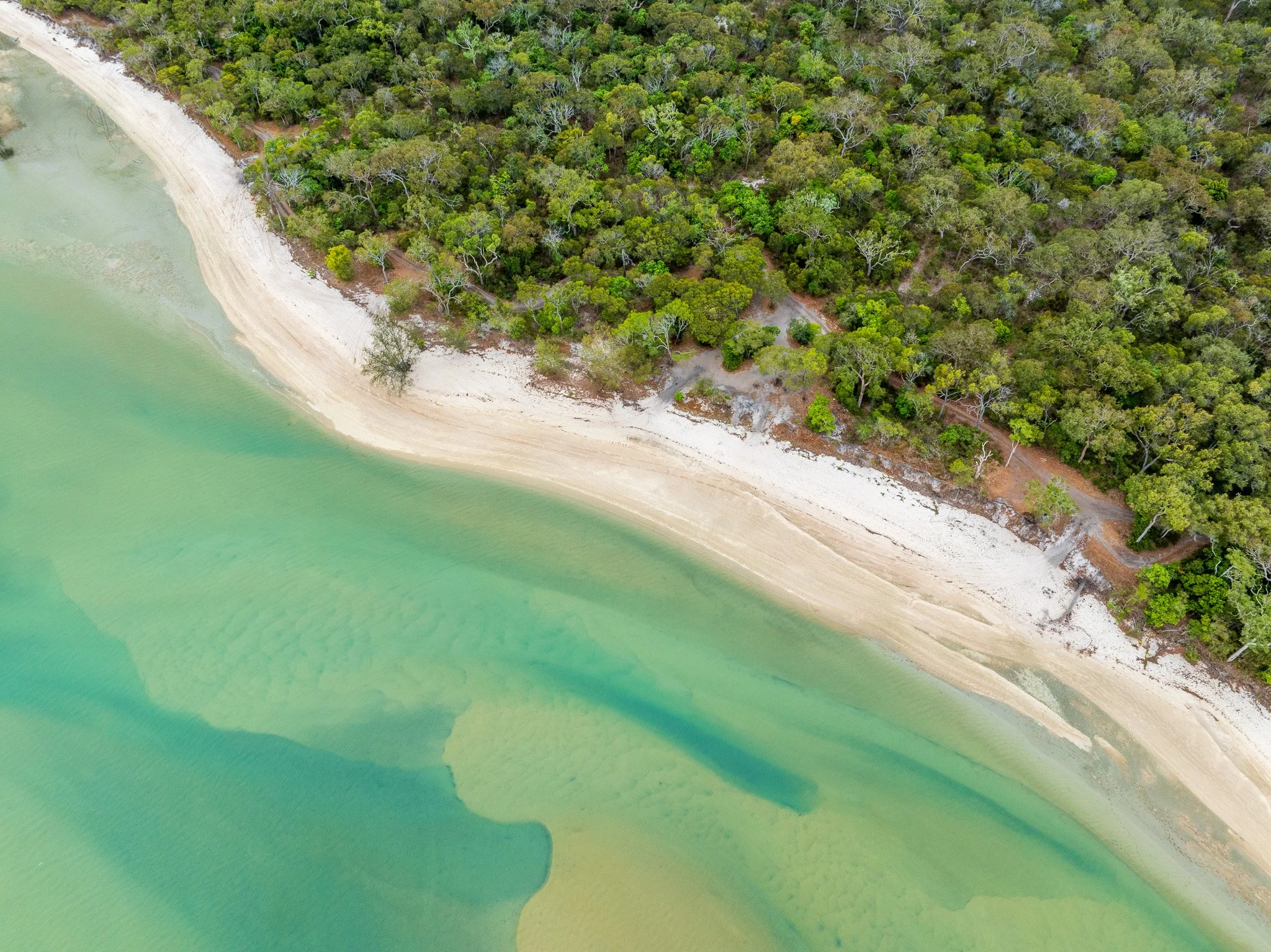 DJI_0466.jpg