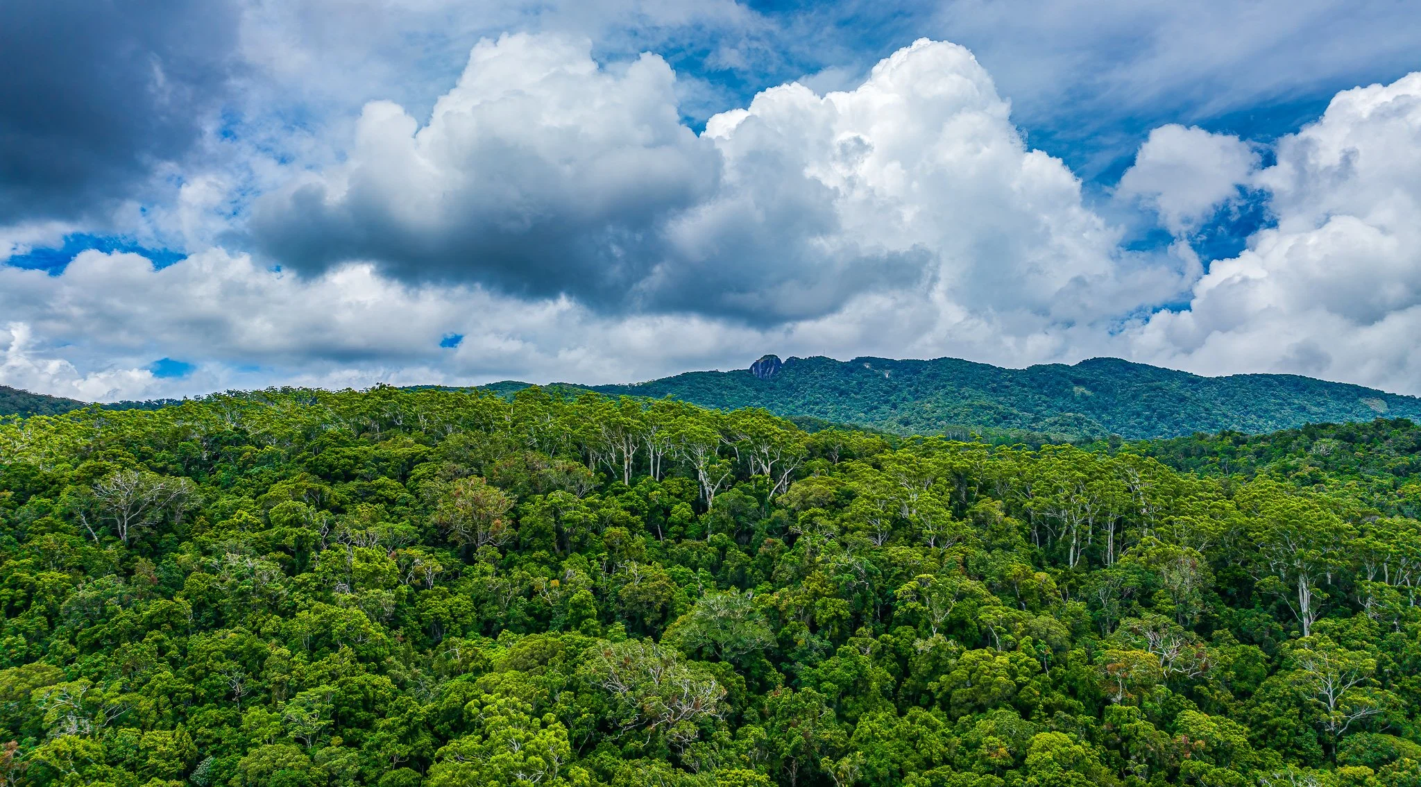 DJI_0735-Edit.jpg