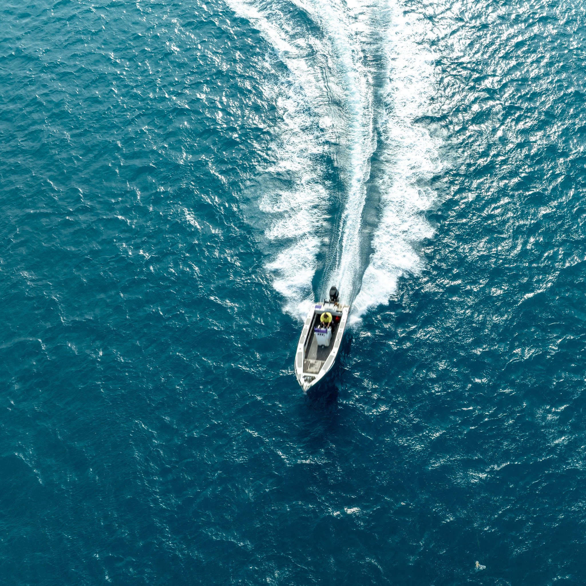 DJI_0923.jpg