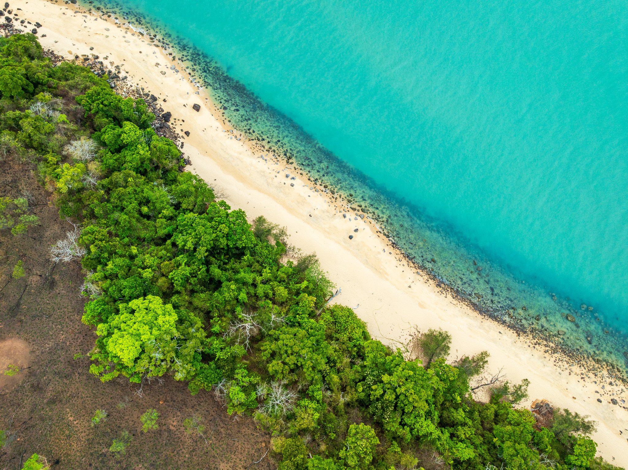 DJI_0474.jpg