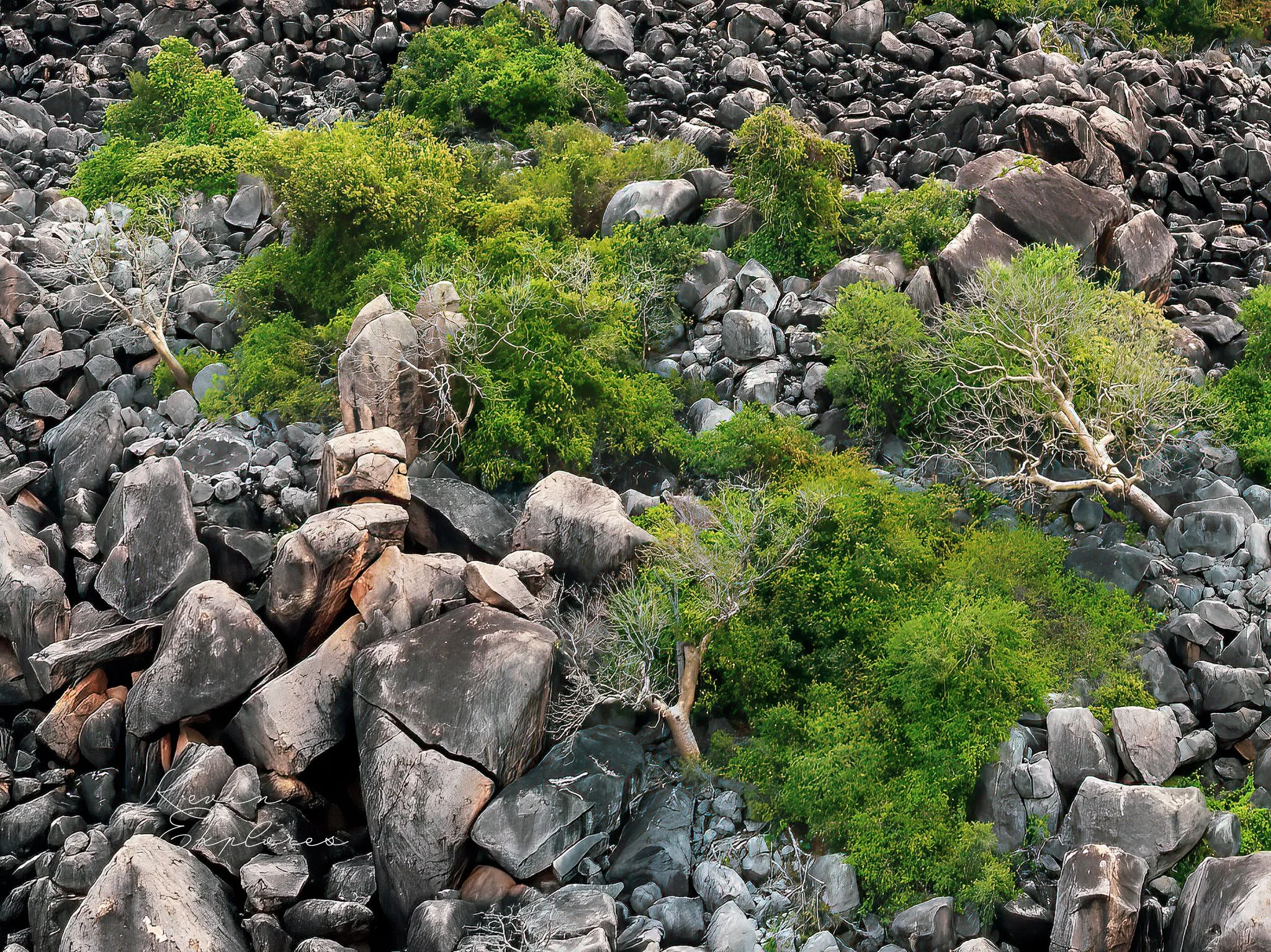DJI_0970-Edit.jpg