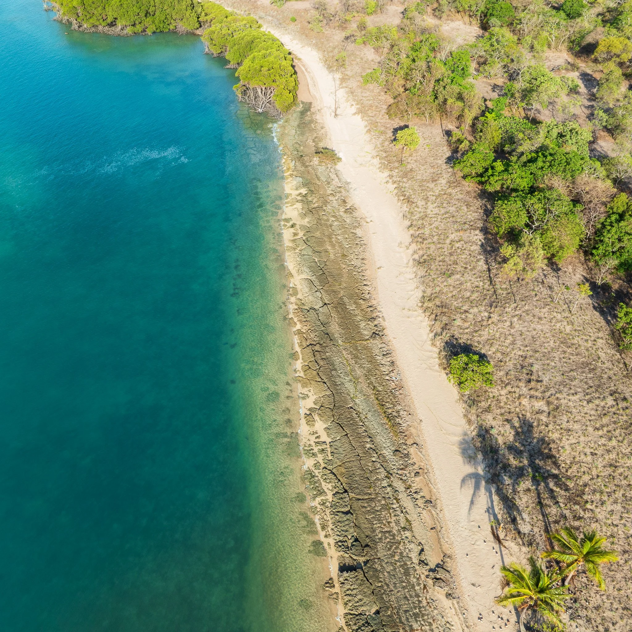 DJI_0873.jpg