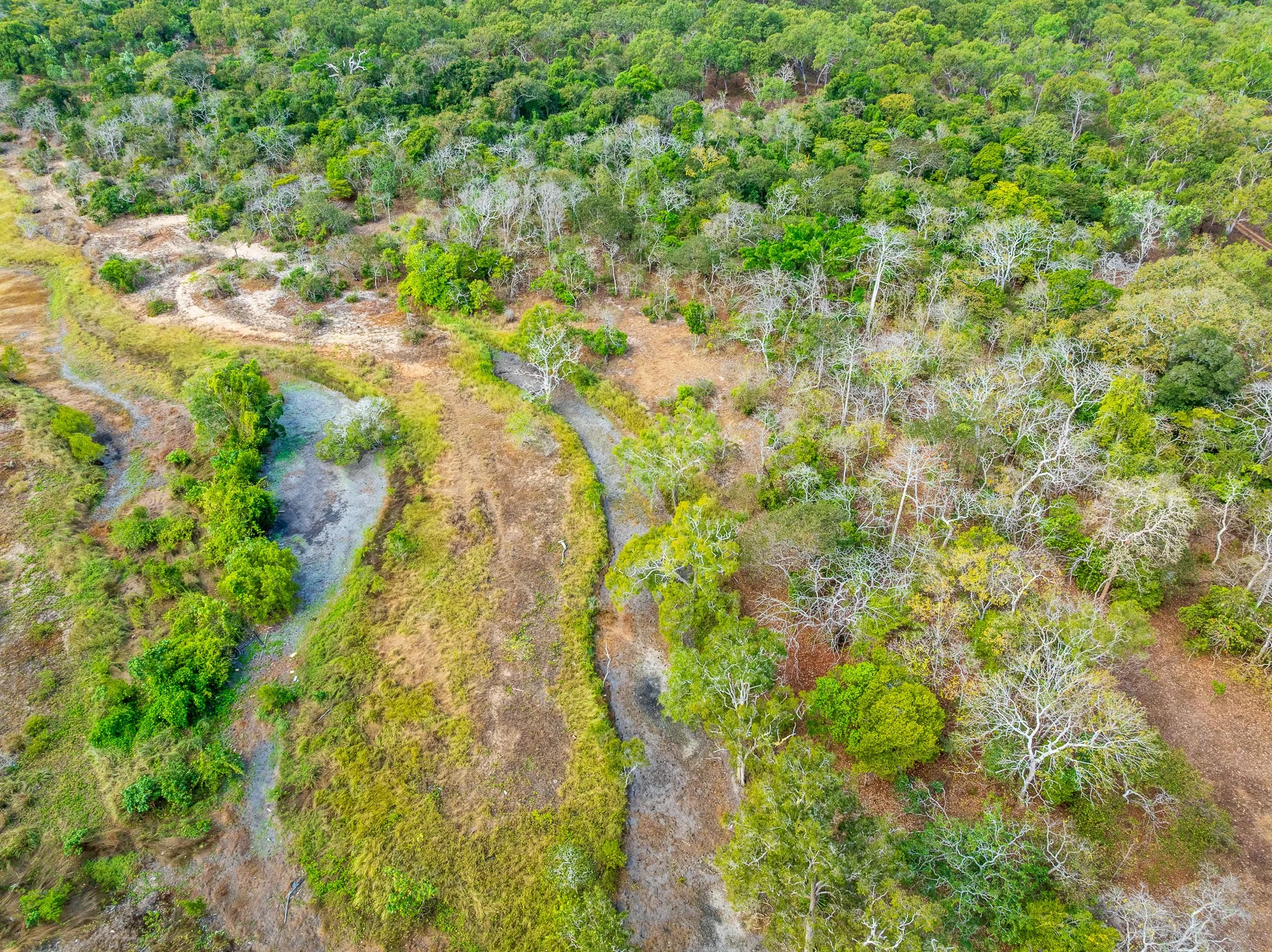 DJI_0291.jpg