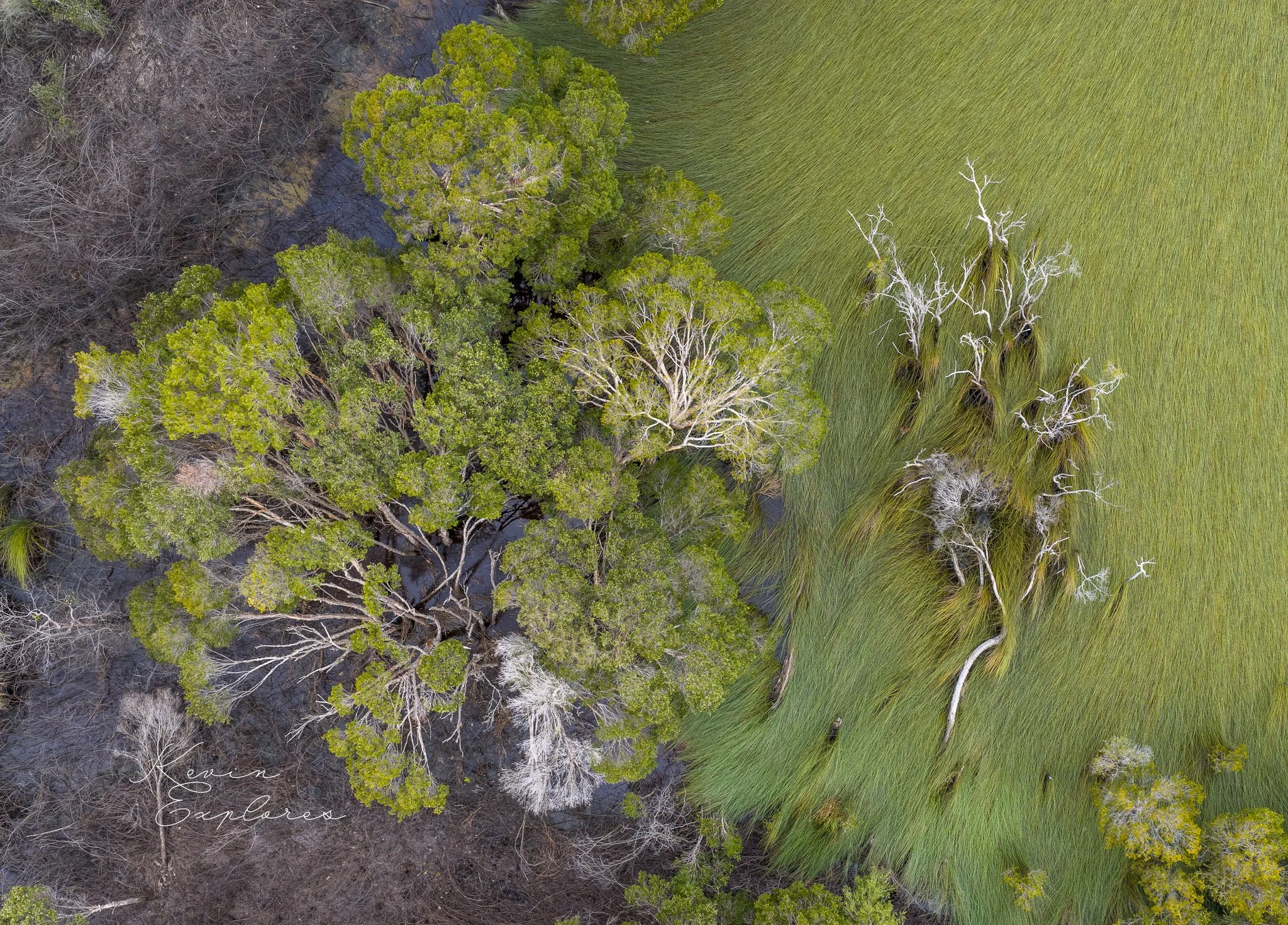 DJI_20250802120956_0066_D.jpg