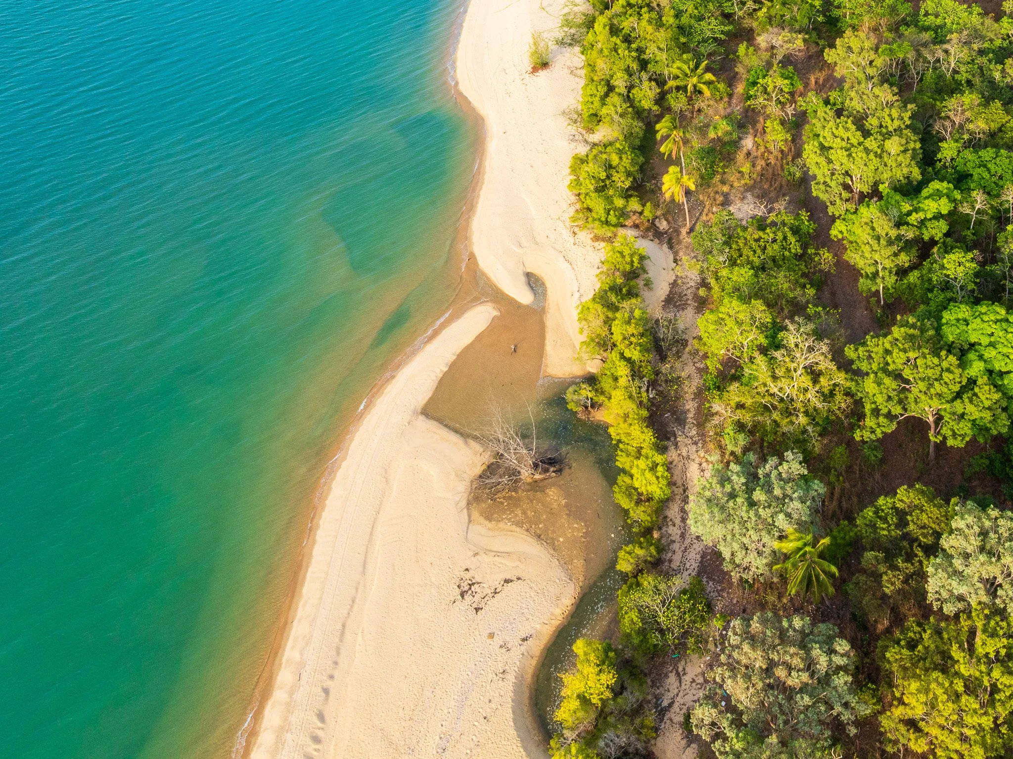 DJI_0902.jpg