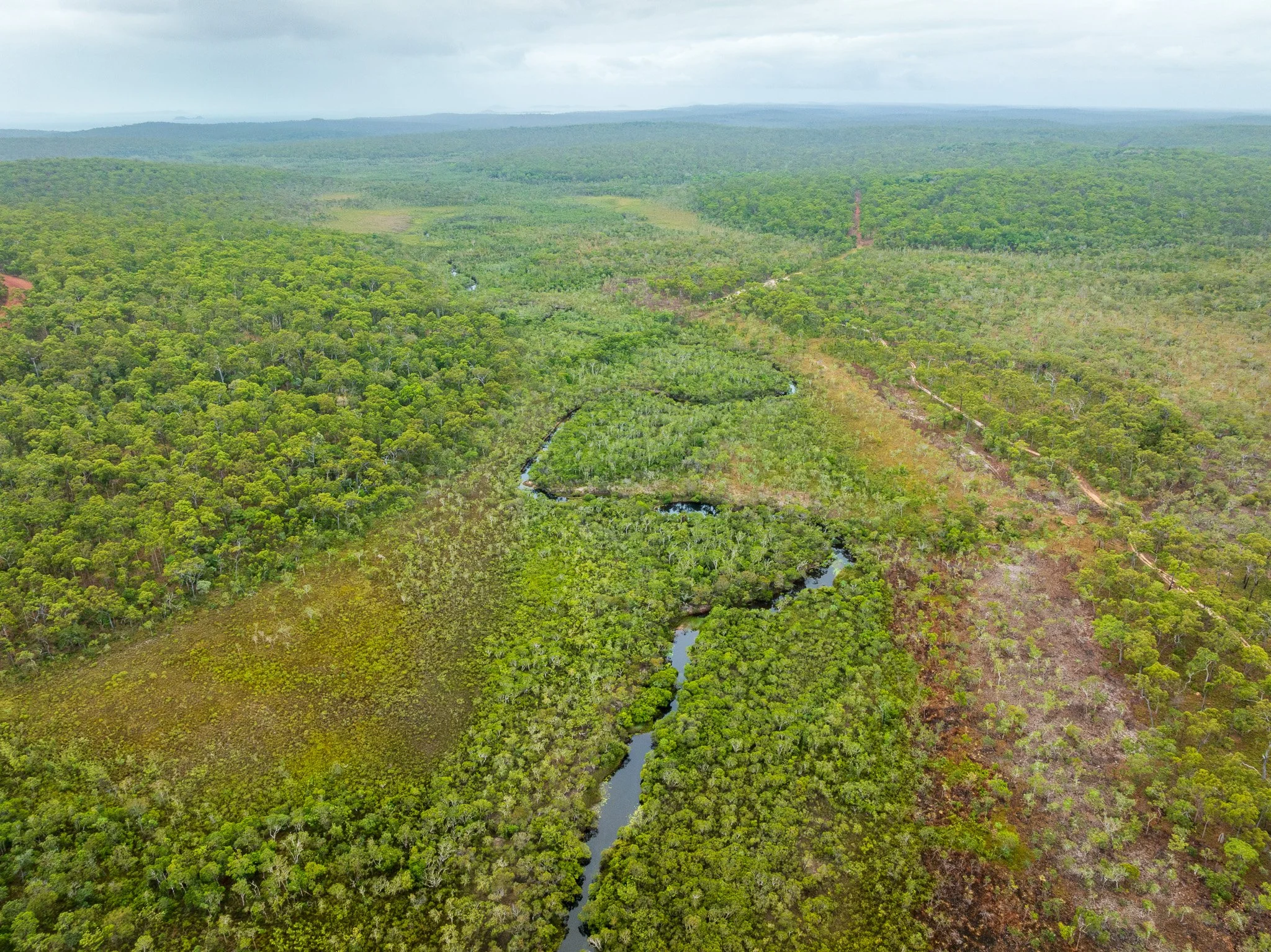 DJI_0478-3.jpg