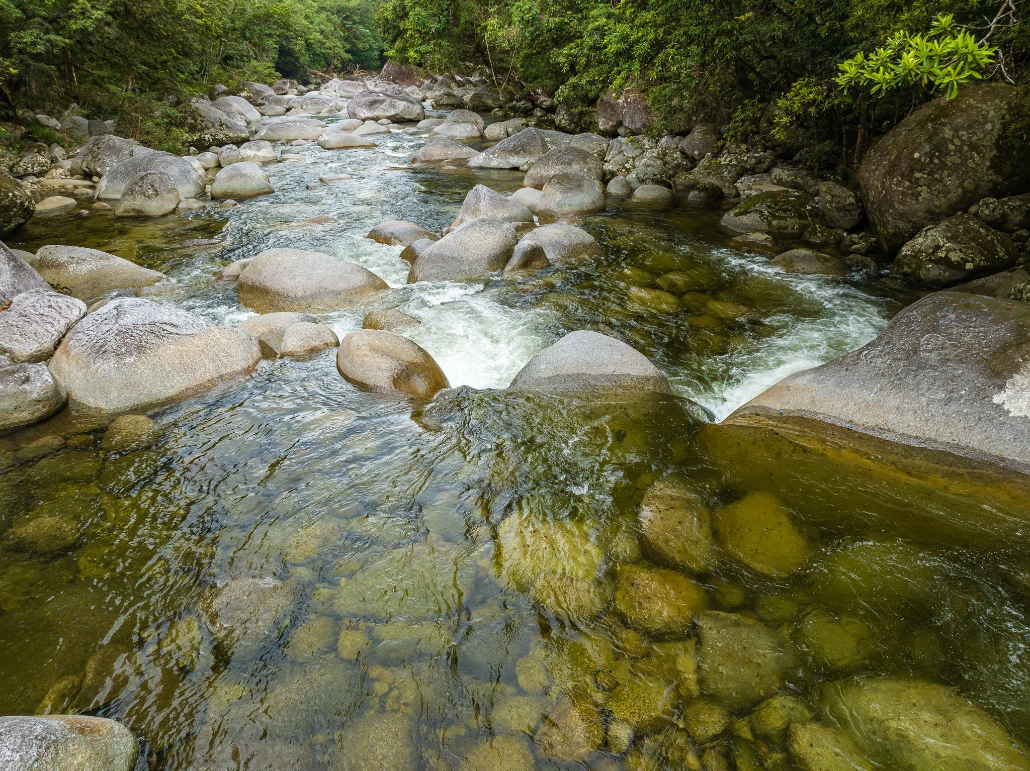DJI_0985.jpg