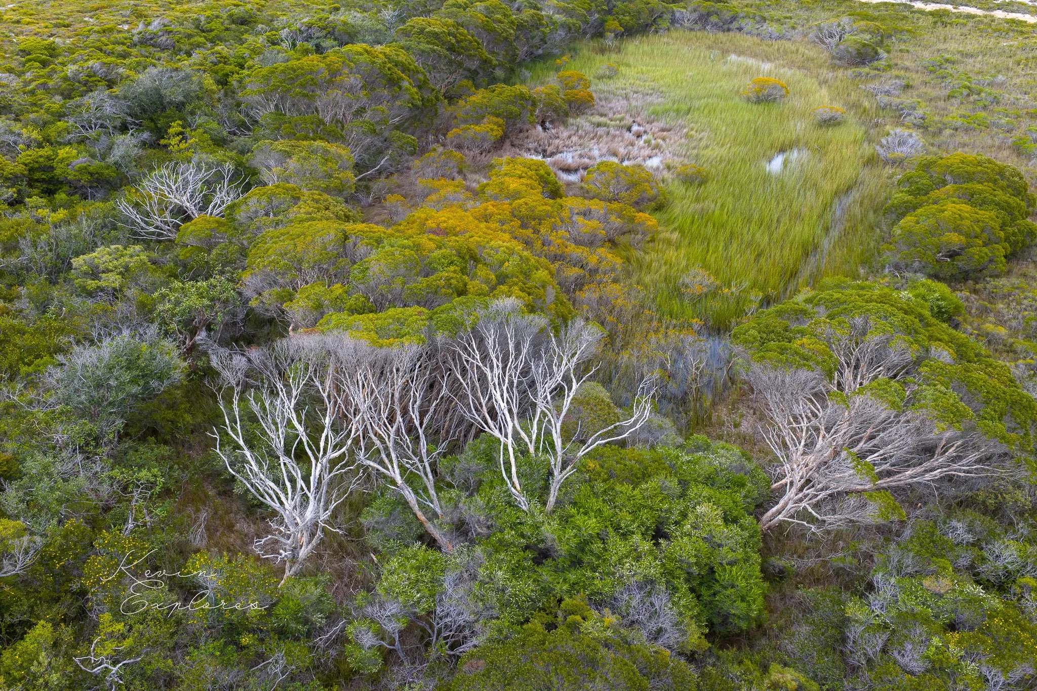 DJI_20250802080515_0089_D-2.jpg