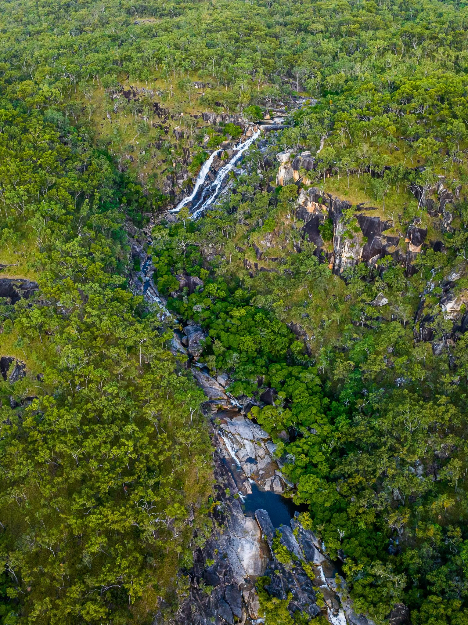 DJI_0993.jpg