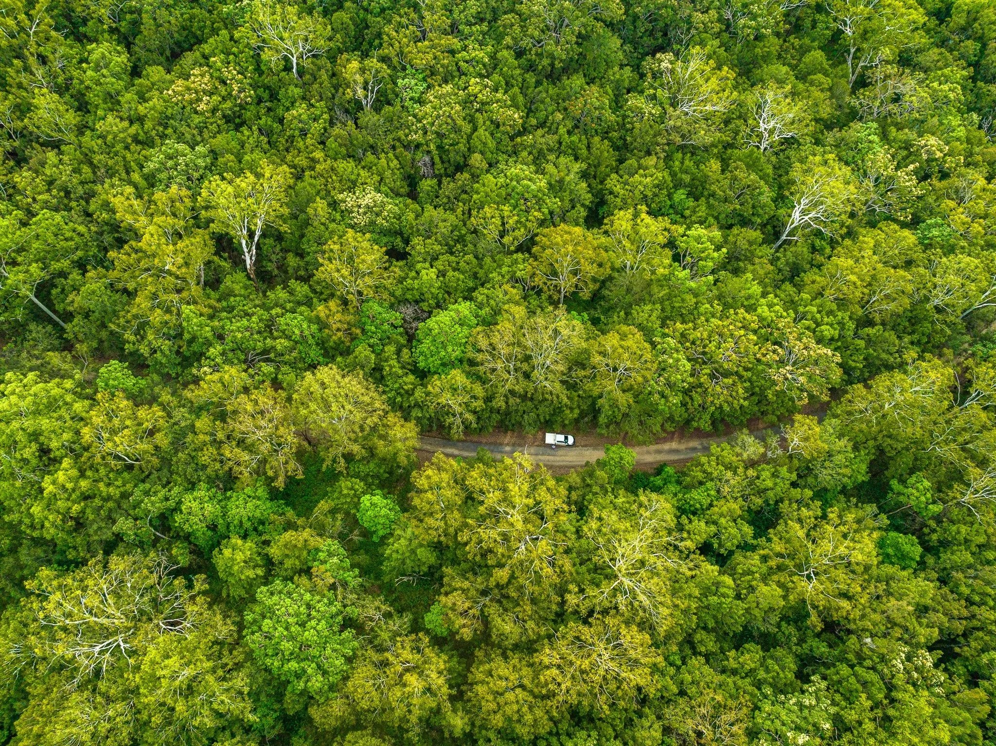 DJI_0945-3.jpg