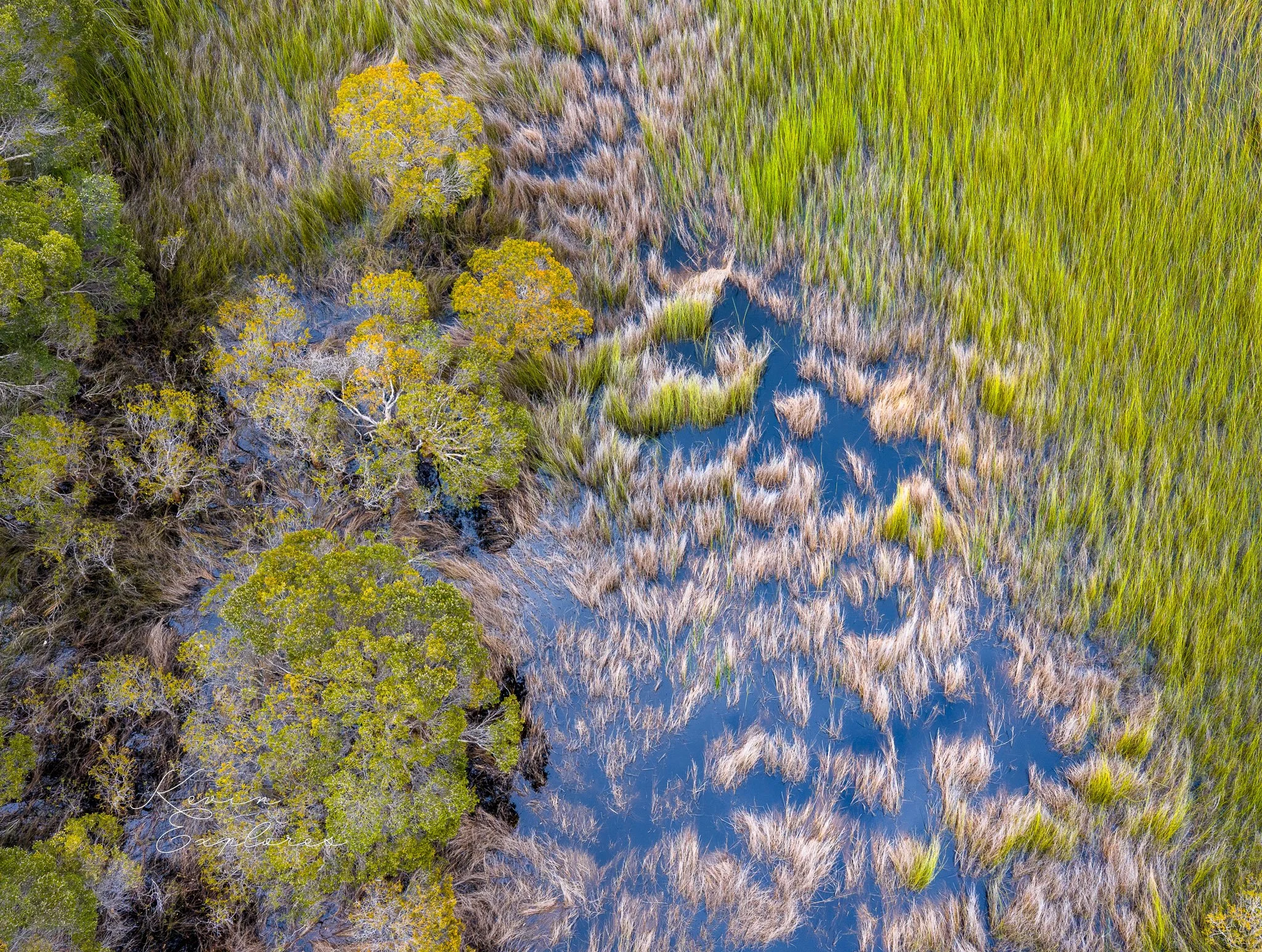 DJI_20250802080539_0090_D.jpg