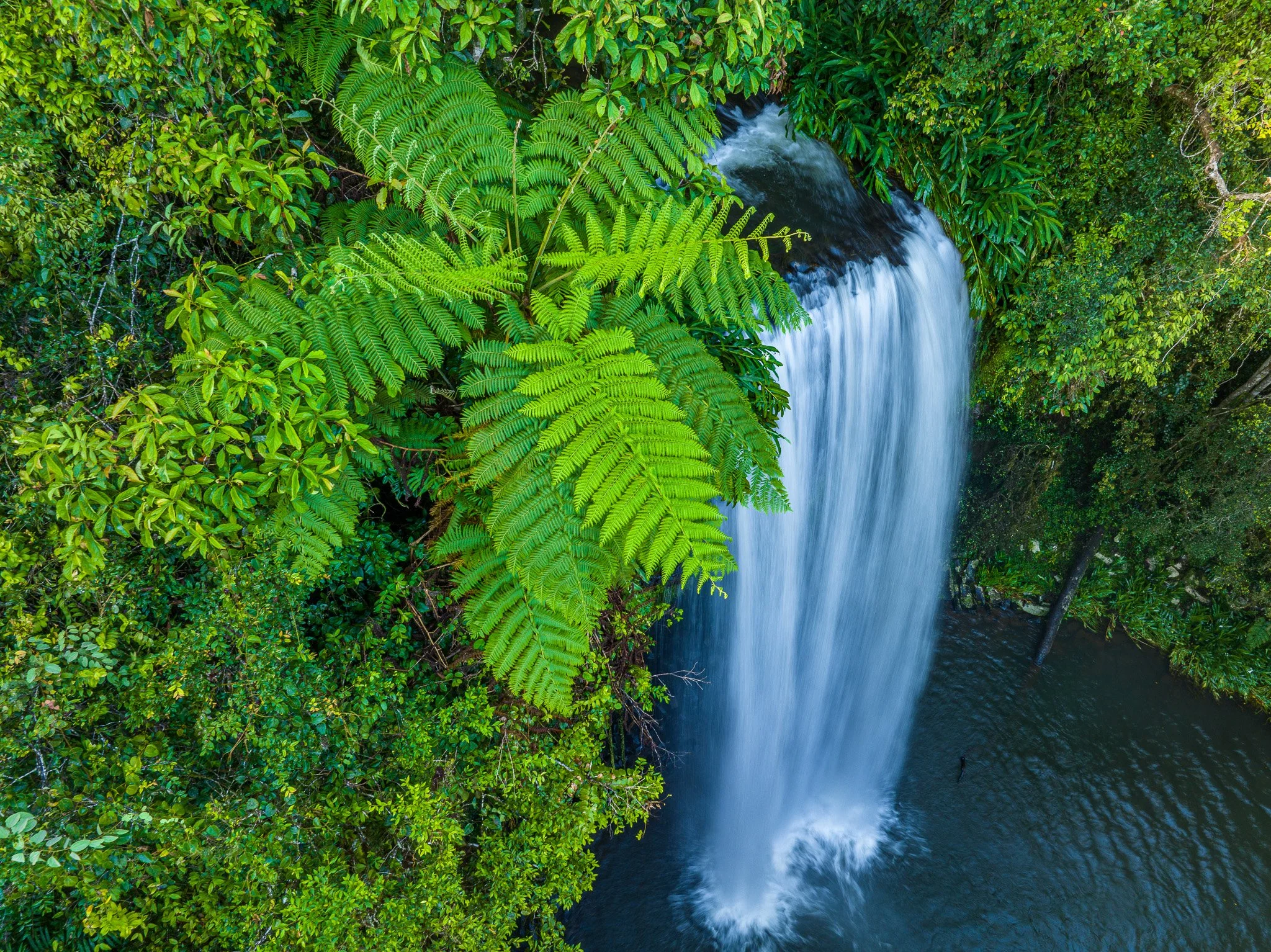 DJI_0380-2.jpg