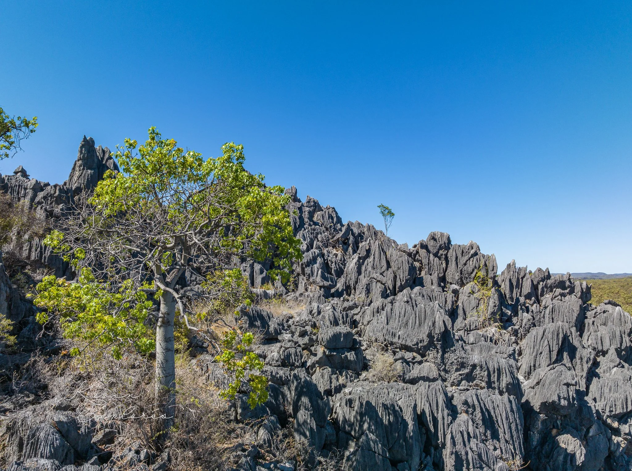 DJI_0650.jpg