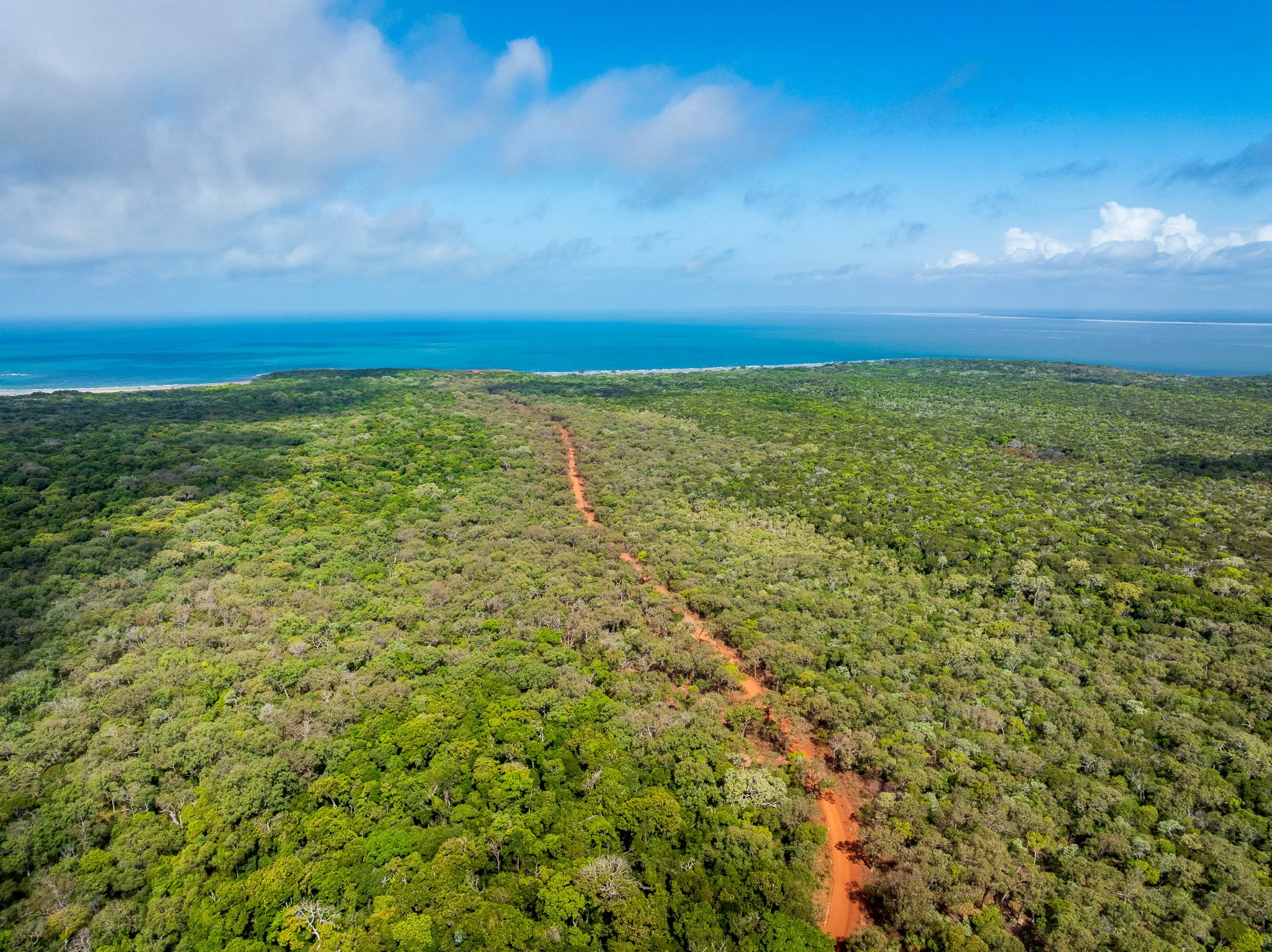 DJI_0251-4.jpg