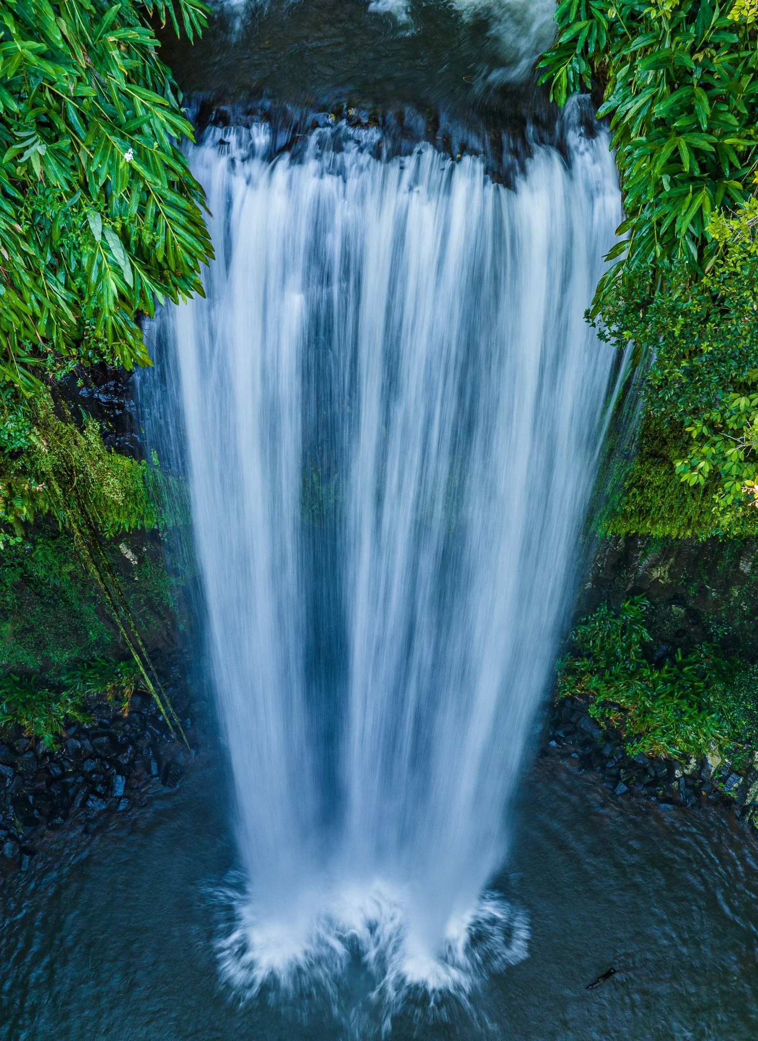 DJI_0376-2.jpg