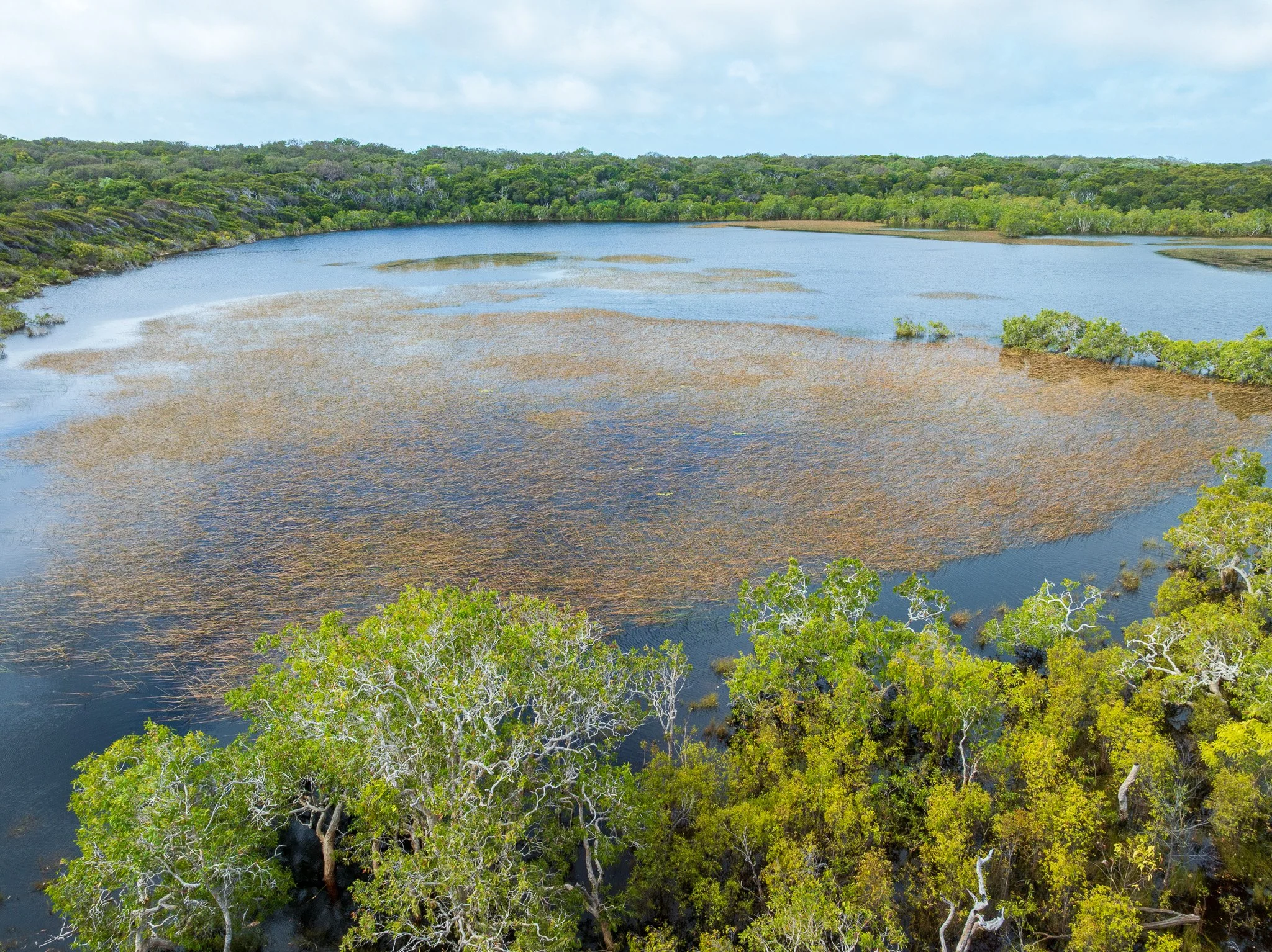 DJI_0261.jpg
