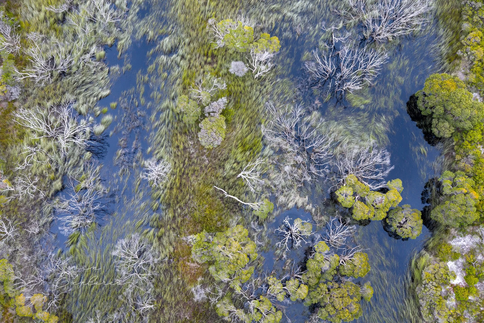 DJI_20250802070945_0054_D.jpg