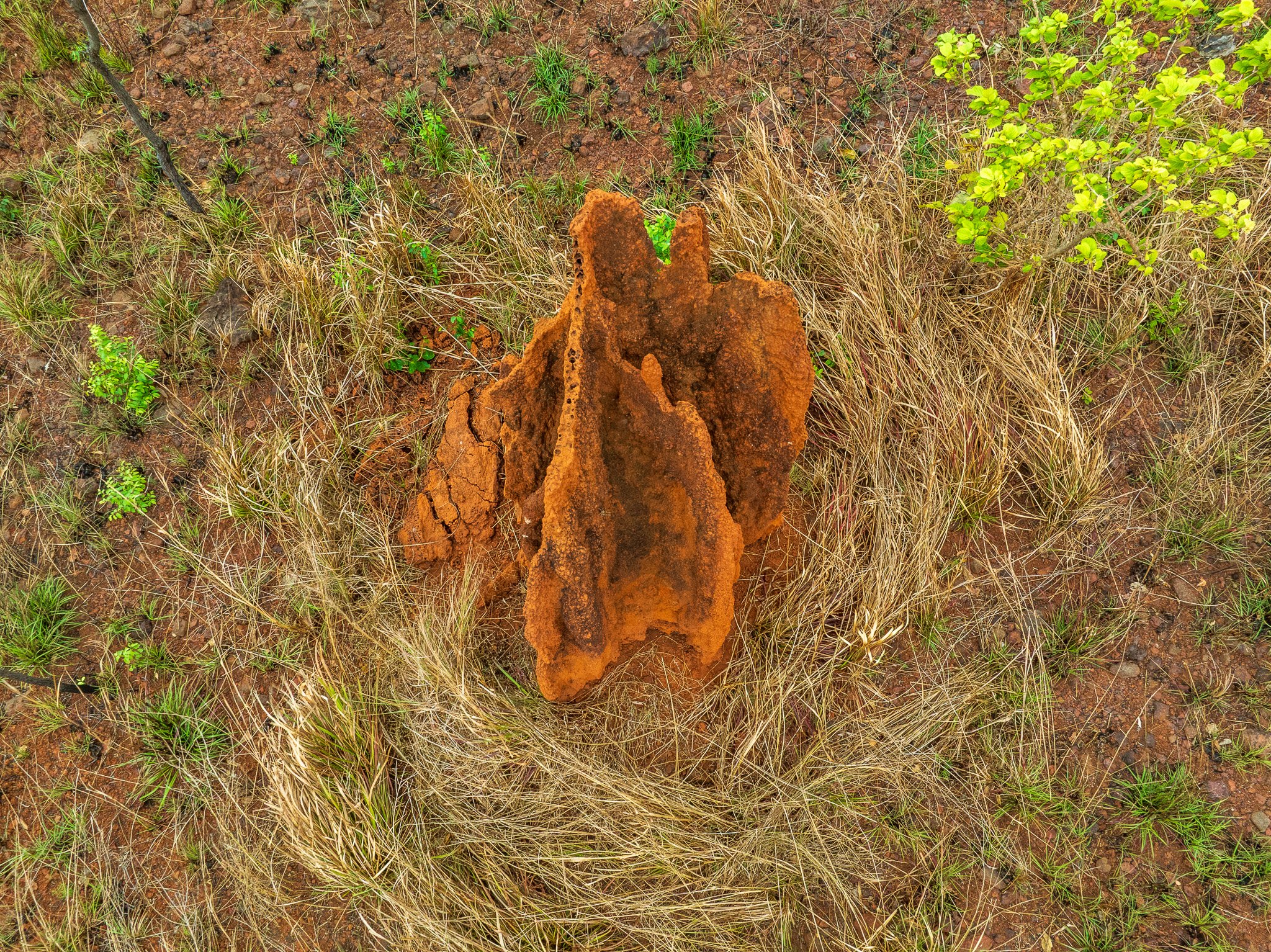 DJI_0477-3.jpg