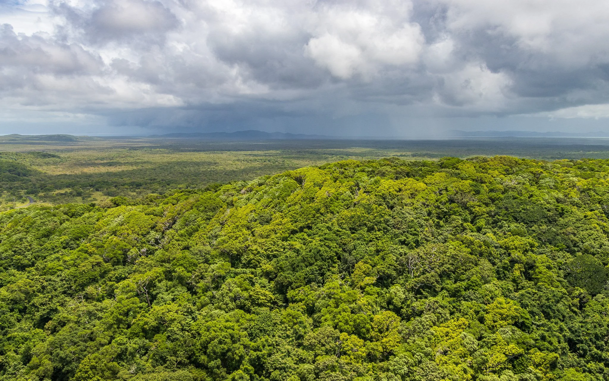 Moa Island
