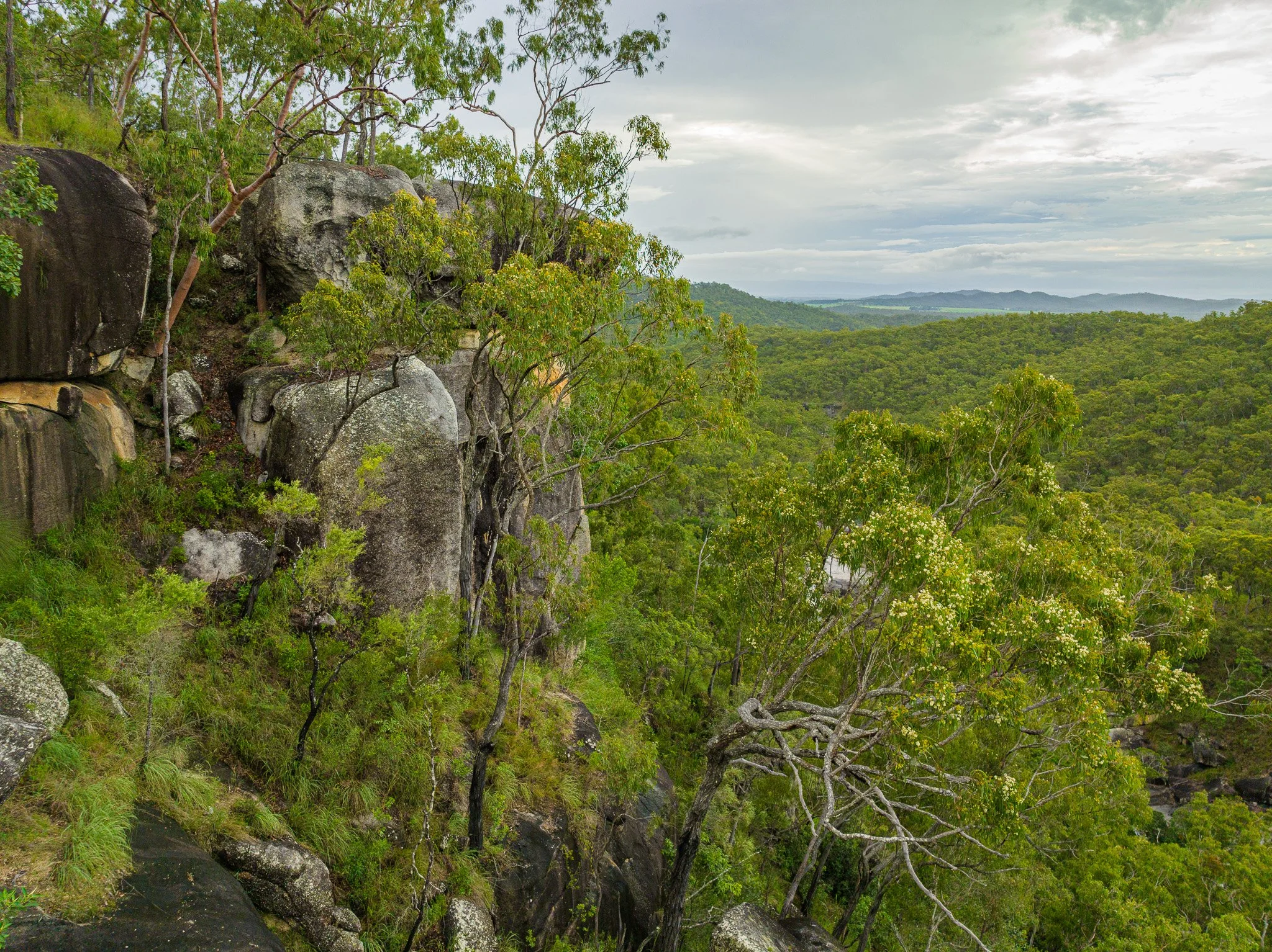 DJI_0131-2.jpg