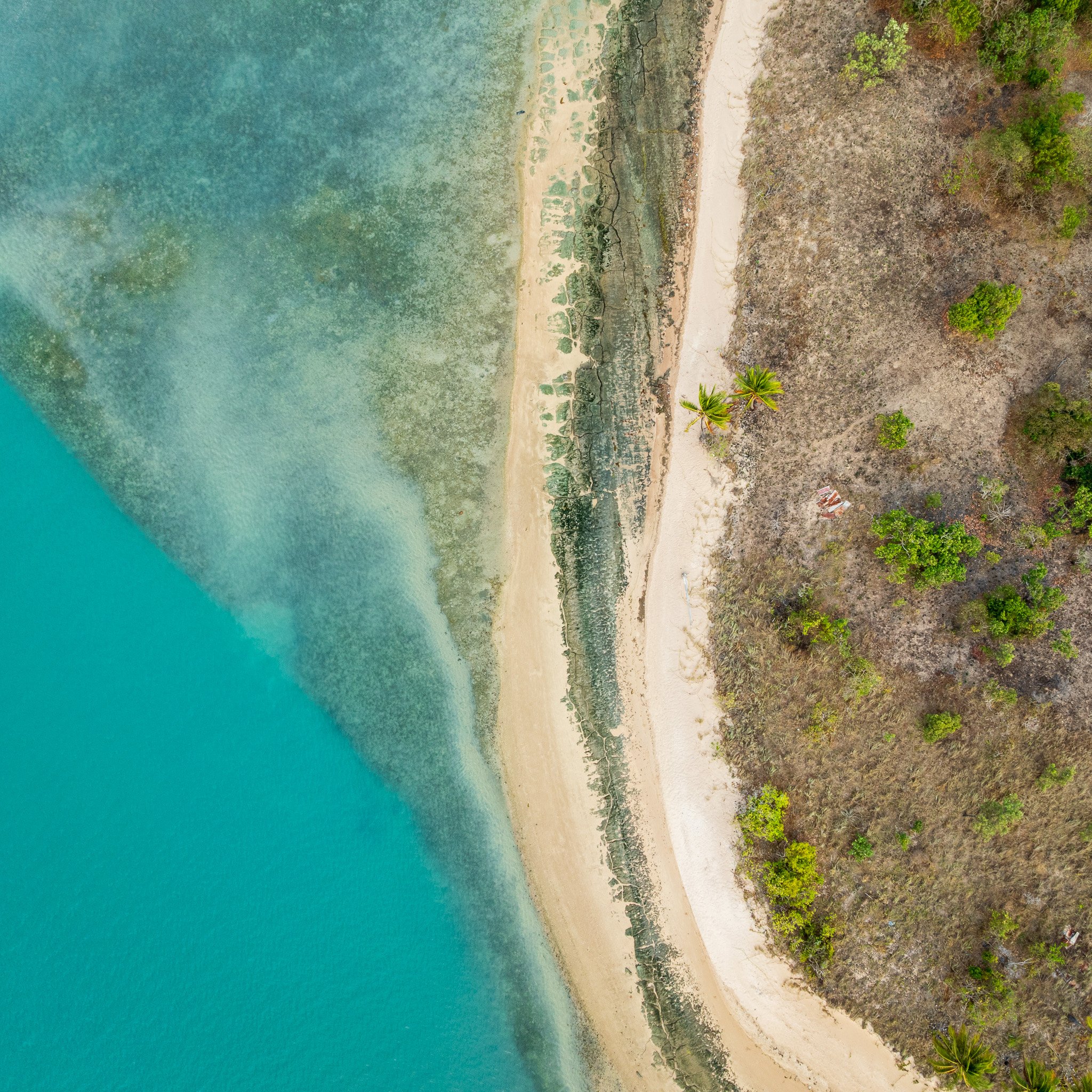 DJI_0271.jpg