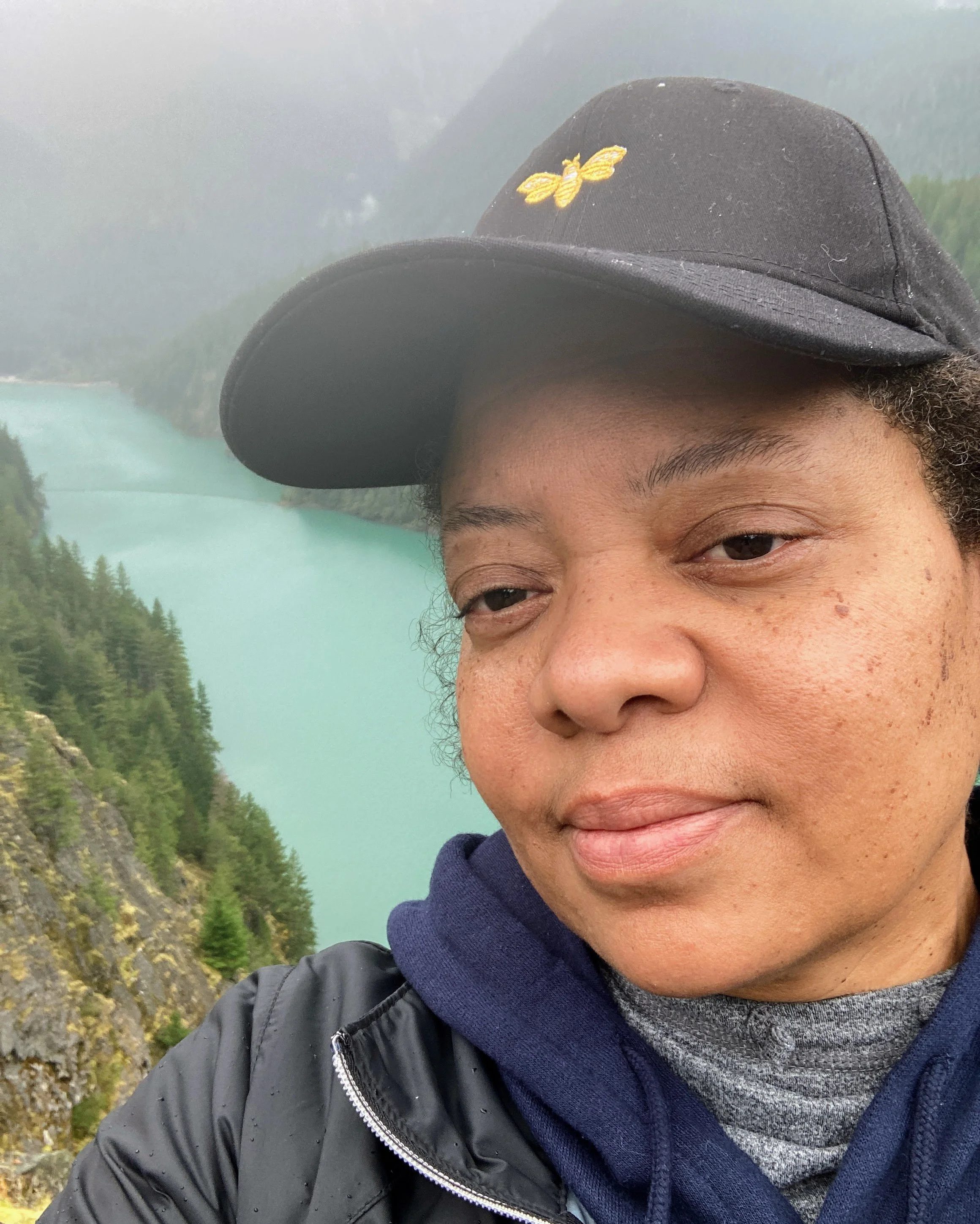Close-up of a person with tan skin and brown eyes wearing a black baseball cap with a yellow embroidered bee, grey shirt, navy hoodie, and black jacket, standing outdoors near misty mountains and lush green trees.