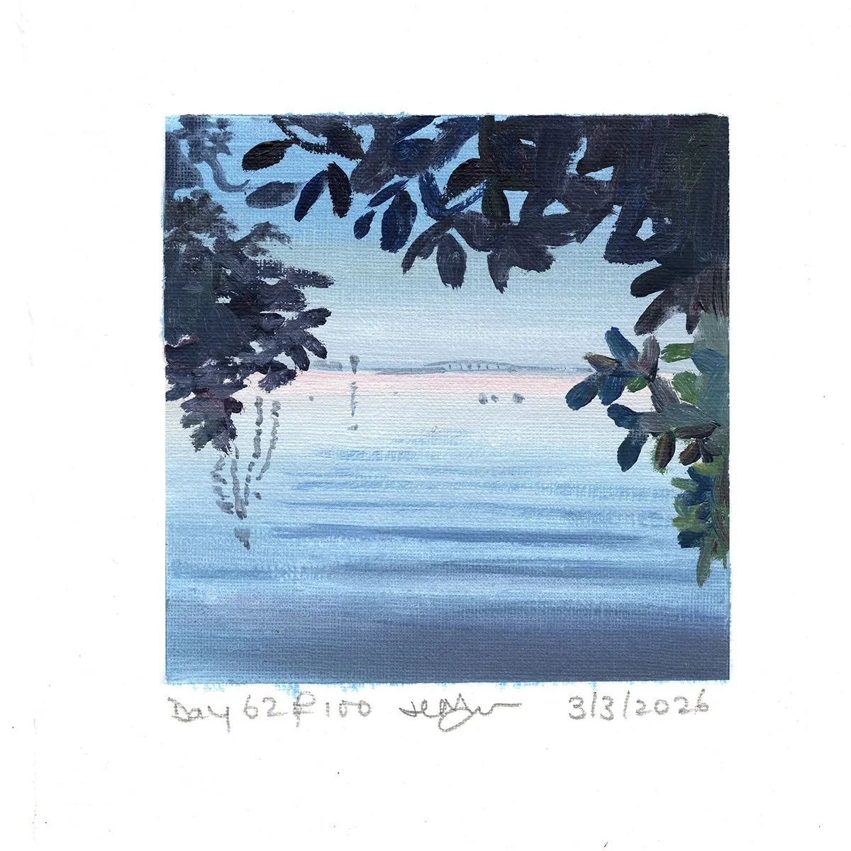 Day 62 of 100: "Mangrove Window"