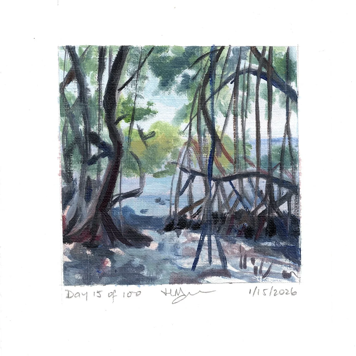Day 15: "Morning in the Mangroves"