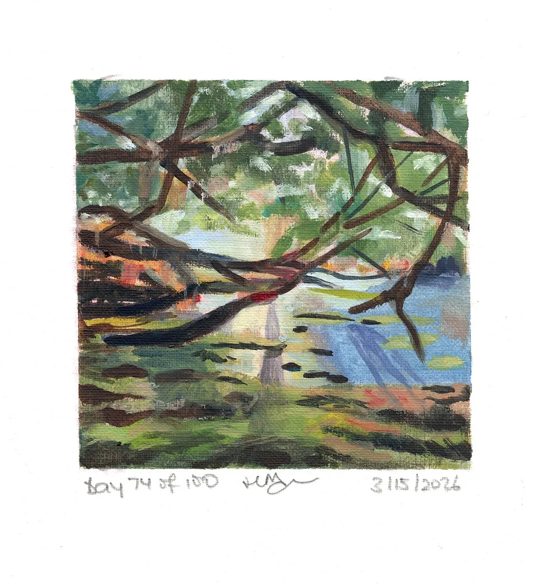 Day 74 of 100: "Mystical Mangroves"