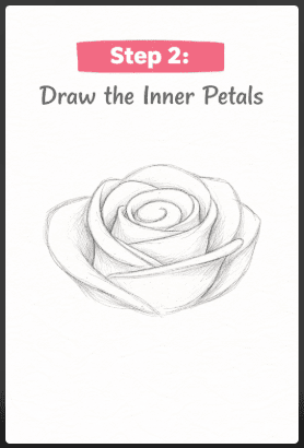 step two of drawing roses