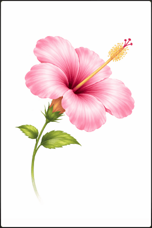 Hibiscus Digital Drawing