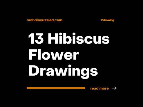 13 Hibiscus Flower Drawings You Can Easily Recreate