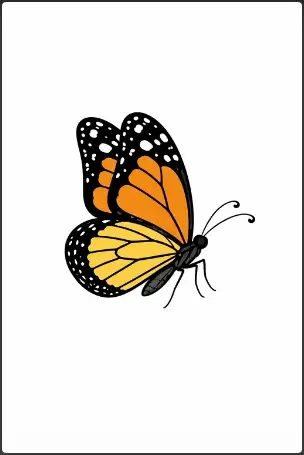 Side View Butterfly Drawing