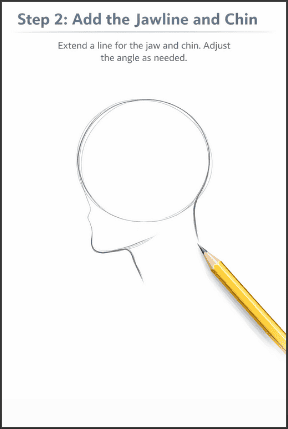 Add the Jawline and Chin