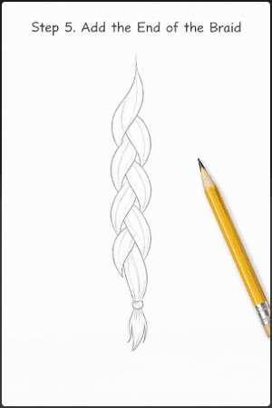 How to Draw Braids Step by Step for Beginners