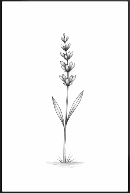 flower drawing ideas