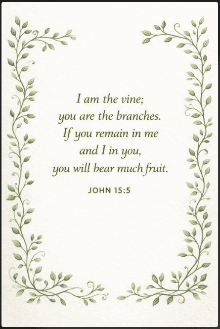 Vine and Leaves with John