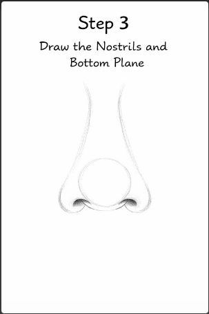 step three of drawing a nose