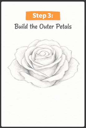 step three of how to draw roses