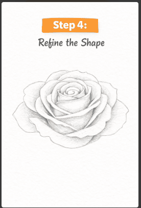 step four of drawing roses
