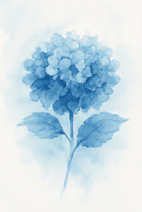 Monochrome Blue Hydrangea With Watercolor