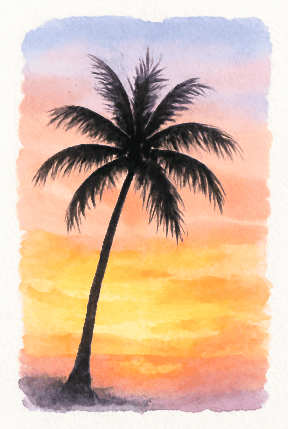 Palm Tree Silhouette Against A Sunset Sky