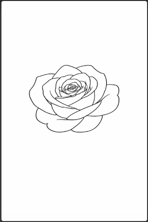 step three of how to draw roses
