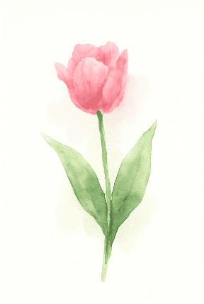 Simple Watercolor Tulip On White Paper