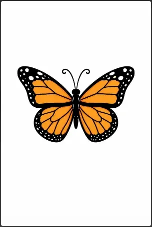Monarch Butterfly Drawing Easy