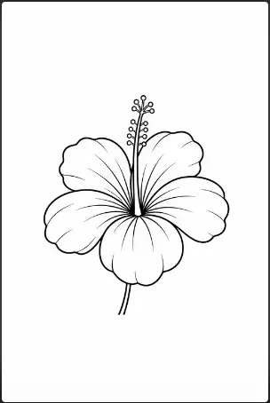Simple Hibiscus Outline Drawing